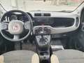 Fiat Panda 1.3 MJT S&S 4x4 TREKKING OK NEOPATENTATO Bianco - thumbnail 7