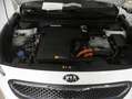 Kia Niro 1.6 HEV Concept Blanco - thumbnail 5
