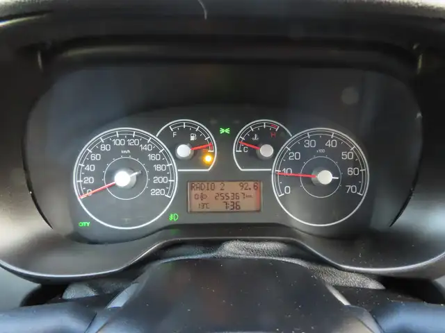 Fiat Grande Punto view 11