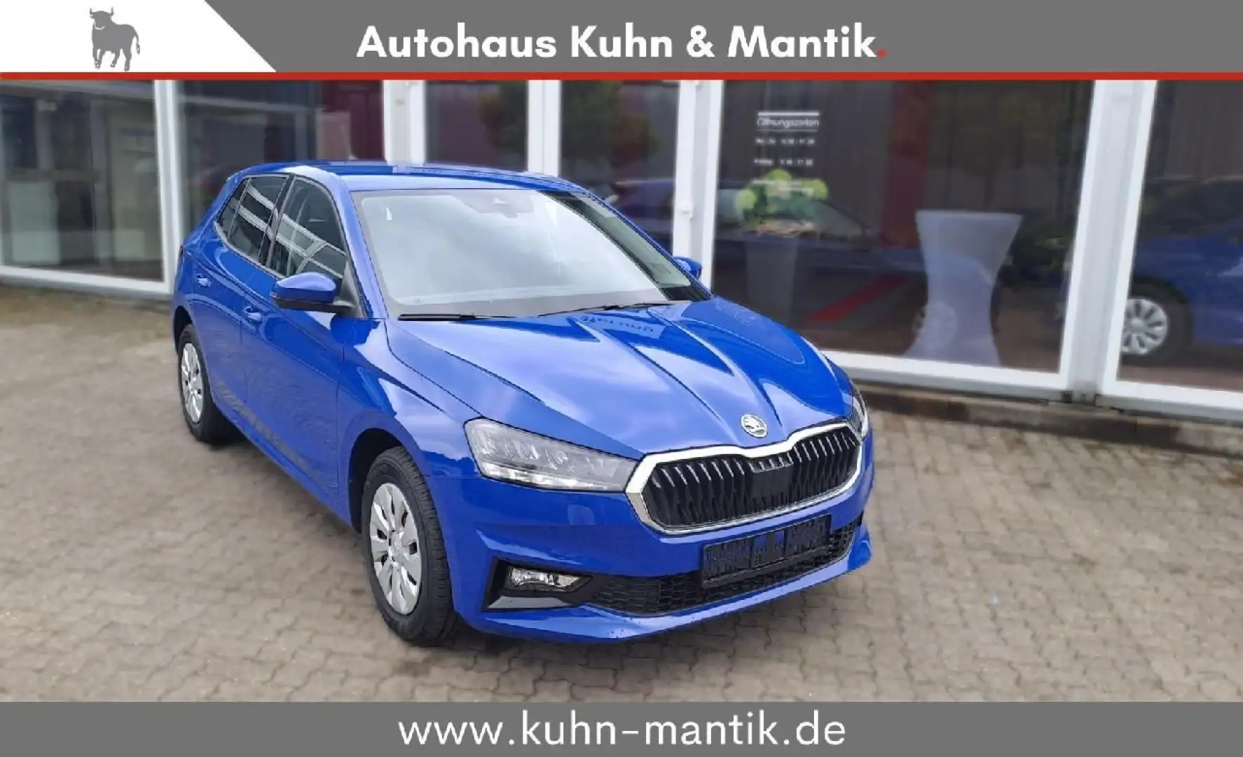 Skoda Fabia Selection 1.0 MPI LED SHZ SmartLink 5J Gar Blauw - 1