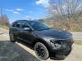 Kia e-Niro Niro EV Long Range 64kWh SAM Aut. SAM Grau - thumbnail 1