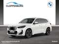 BMW iX1 xDrive30 M Sportpaket Head-Up HK HiFi DAB White - thumbnail 1
