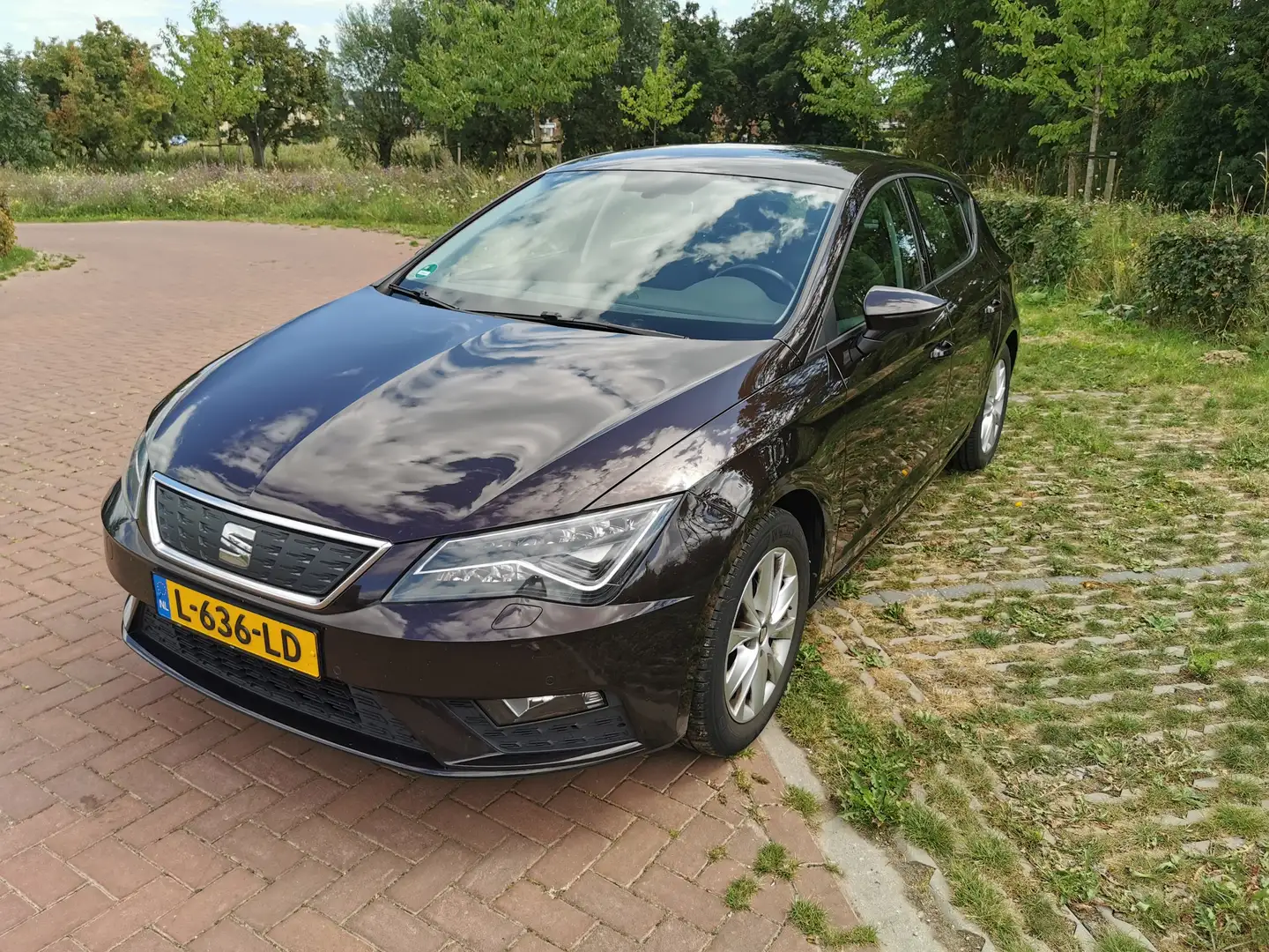 SEAT Leon Leon 1.0 EcoTSI St. BnsI. Zwart - 1
