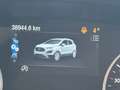 Ford EcoSport Titanium AHK*Xenon*DAB+*Navi*Winterp. Bleu - thumbnail 25