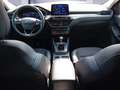 Ford Kuga 2.0 EcoBlue Hybrid TITANIUM X *LED*NAV*RFK*WP* Blau - thumbnail 10