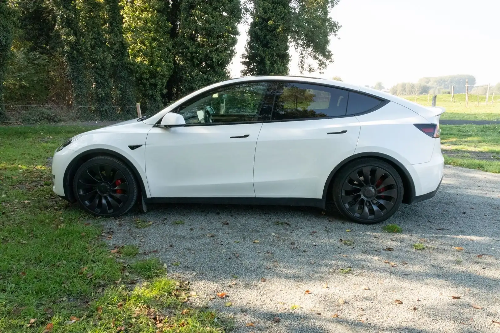 Tesla Model Y Performance Dual Motor AWD TREKHAAK - 2