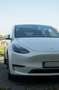 Tesla Model Y Performance Dual Motor AWD TREKHAAK - thumbnail 4