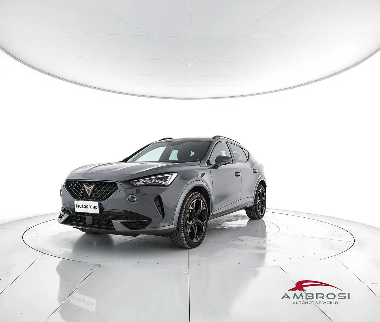 CUPRA Formentor Formentor 1.5 tsi 150cv dsg Grigio - 1