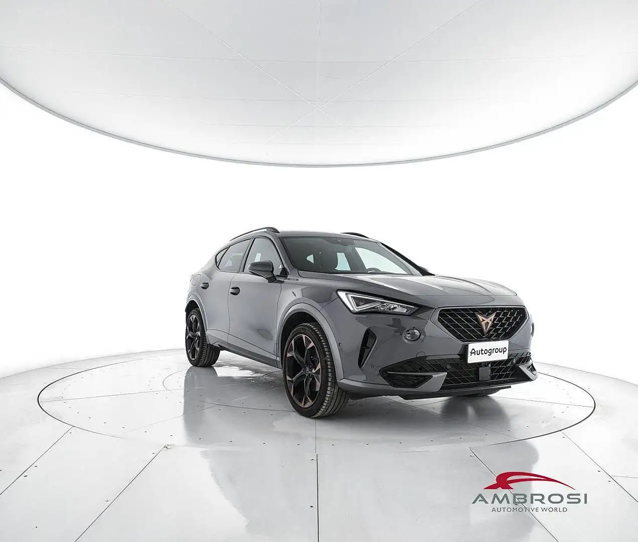 CUPRA Formentor Formentor 1.5 tsi 150cv dsg Grigio - 2