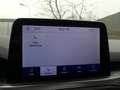 Ford Focus 1.0 EcoBoost 125PK Titanium Business | PANORAMADAK Blauw - thumbnail 17