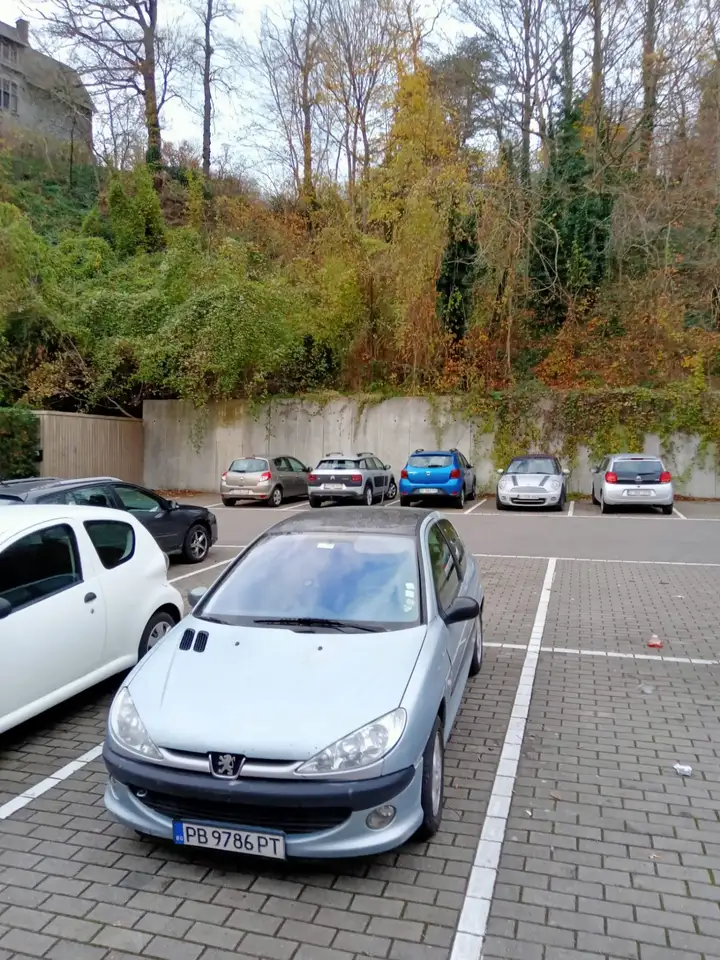 peugeot 206 1.4 essense /LPG bulgare plaque, foto 2