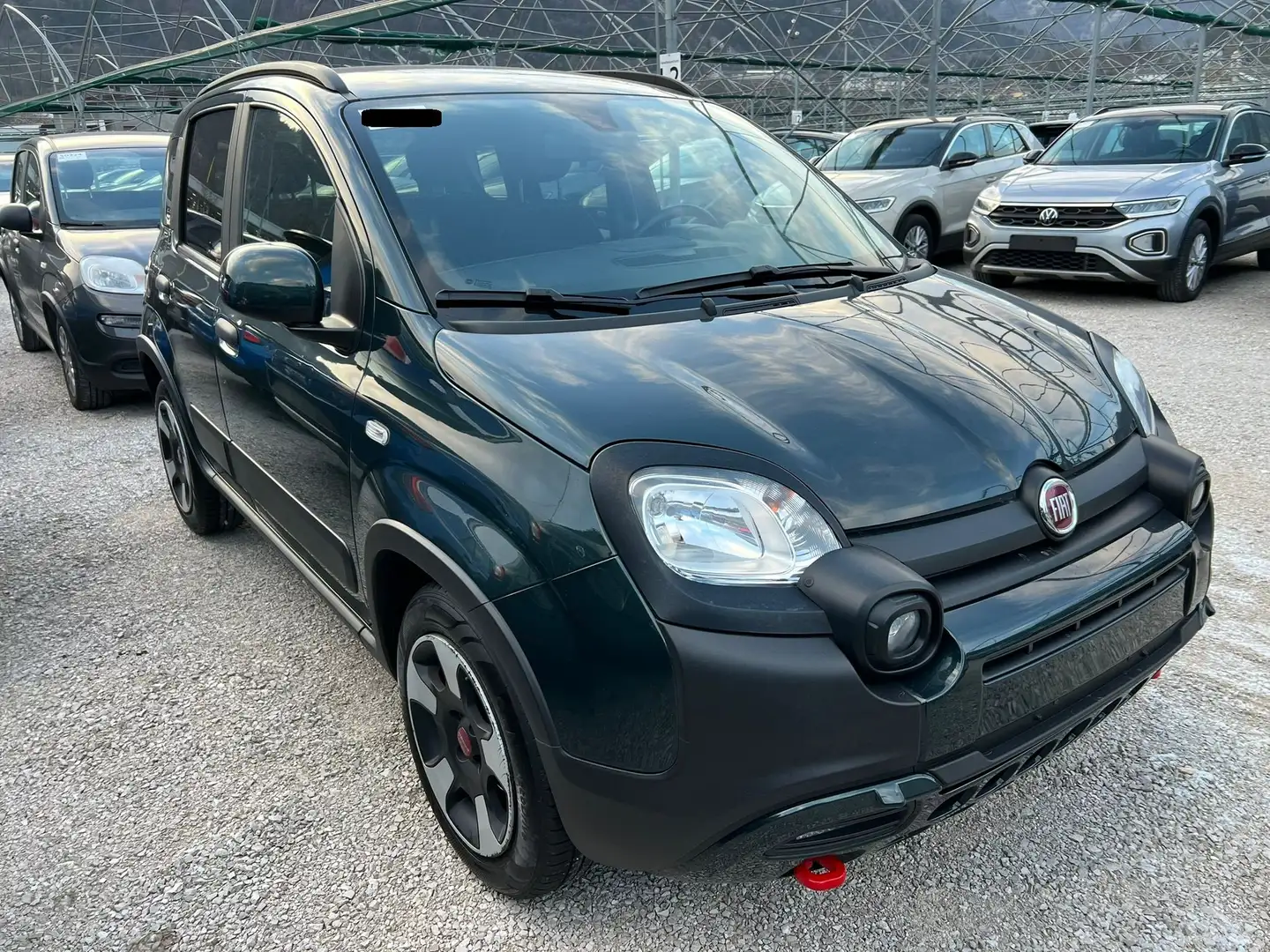 Fiat Panda 1.0 firefly 70 cv HYBRID CROSS Vert - 2