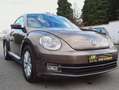 Volkswagen Beetle Prête à immatriculer - 1 an de garantie Bronce - thumbnail 5