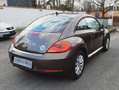 Volkswagen Beetle Prête à immatriculer - 1 an de garantie Бронзовий - thumbnail 6