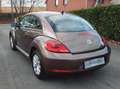 Volkswagen Beetle Prête à immatriculer - 1 an de garantie Brons - thumbnail 8