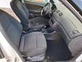 Skoda Roomster 1.2 TSI Ambition Plus Weiß - thumbnail 12