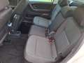 Skoda Roomster 1.2 TSI Ambition Plus Weiß - thumbnail 6
