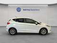 Ford Fiesta 1.0 EcoBoost S&S ST-LINE Sitzheizung, Einpa Blanco - thumbnail 6