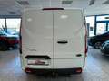 Ford Transit Custom 300 L2 Klima Tempomat AHK PDC Weiß - thumbnail 5