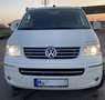 Volkswagen T5 California No Limit Weiß - thumbnail 7