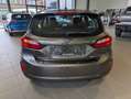 Ford Fiesta Titanium 1.0i EcoBoost 125pk Mild Hybrid Gris - thumbnail 7