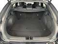 Kia ProCeed / pro_cee'd GT 1.6 T-GDi DCT 7Y Warranty Siyah - thumbnail 29