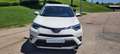 Toyota RAV 4 150D Advance 2WD Blanco - thumbnail 2