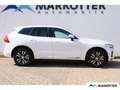 Volvo XC60 T6 AWD Recharge Core STHZ/AHK/BLIS/Google Weiß - thumbnail 3