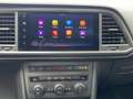 CUPRA Ateca 1.5 tsi 150cv dsg Verde - thumbnail 12