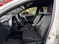 Toyota RAV 4 Rav4 2.5 vvt-i h Lounge 2wd e-cvt Blanc - thumbnail 12