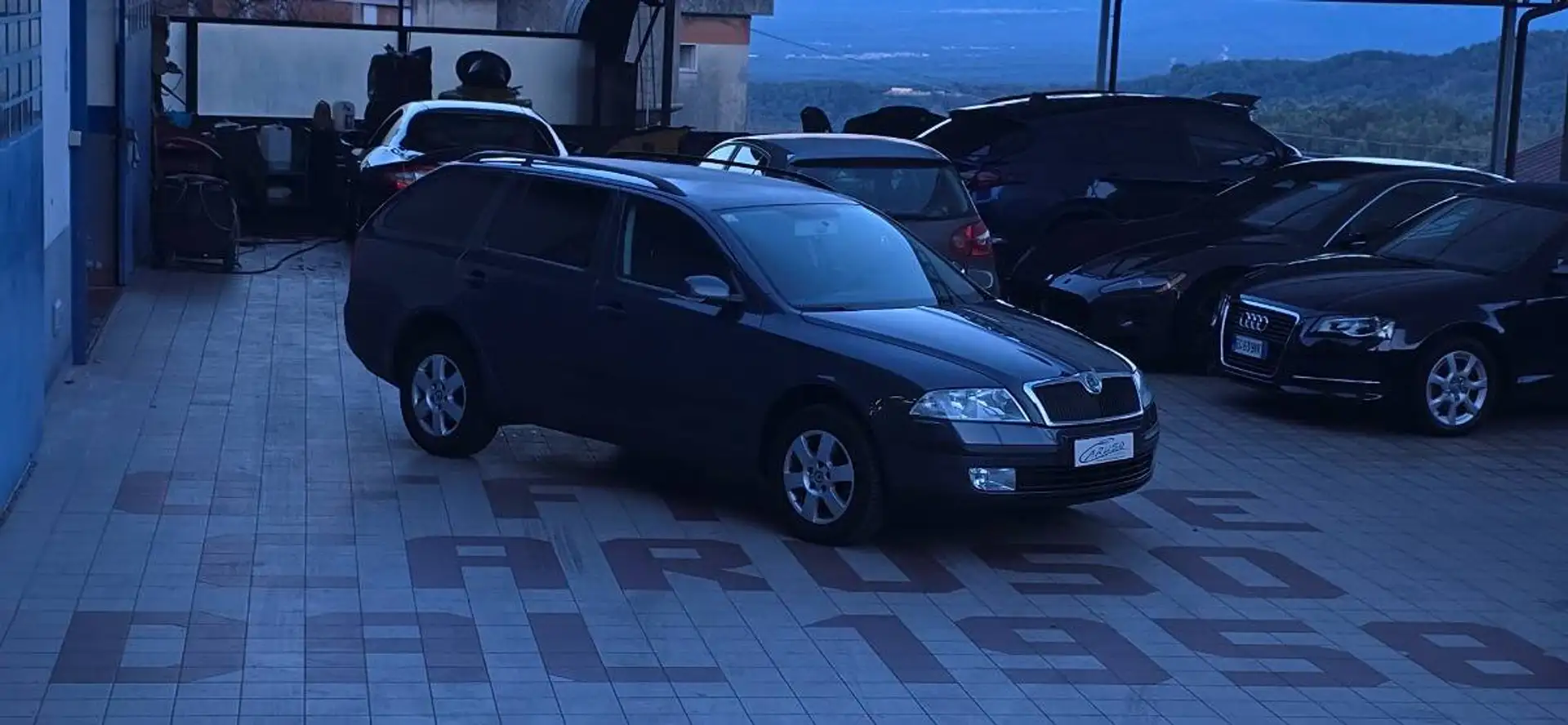 Skoda Octavia Skoda Octavia II 2004 Wagon1.9 tdi Elegance 4x4 - 1