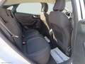 Ford Puma 1.0 EcoBoost Hyb. 125 CV Tit. Blanc - thumbnail 5