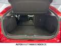 Mazda CX-30 2.0 e-SKYACTIV-G M Hybrid Homura LED HUD SHZ Rot - thumbnail 15