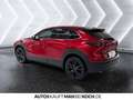 Mazda CX-30 2.0 e-SKYACTIV-G M Hybrid Homura LED HUD SHZ Rot - thumbnail 4