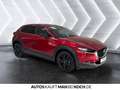 Mazda CX-30 2.0 e-SKYACTIV-G M Hybrid Homura LED HUD SHZ Rot - thumbnail 6
