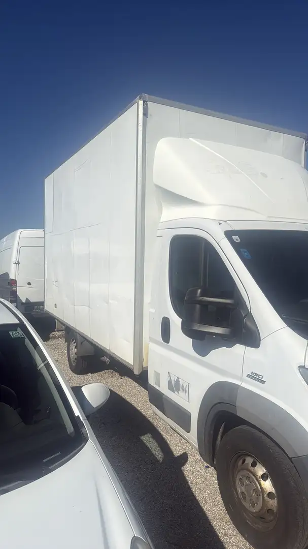 Fiat Ducato 250 Kofferaufbau Weiß - 2