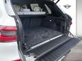BMW X5 xDrive45e M Sportpaket | Wärmepaket Weiß - thumbnail 11