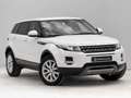 Land Rover Range Rover Evoque 2.2L TD4 Pure Tech 4x4 Blanco - thumbnail 7