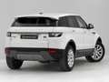 Land Rover Range Rover Evoque 2.2L TD4 Pure Tech 4x4 Blanco - thumbnail 5