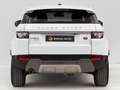 Land Rover Range Rover Evoque 2.2L TD4 Pure Tech 4x4 Blanco - thumbnail 4