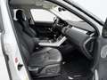 Land Rover Range Rover Evoque 2.2L TD4 Pure Tech 4x4 Blanco - thumbnail 12