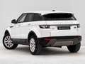 Land Rover Range Rover Evoque 2.2L TD4 Pure Tech 4x4 Blanco - thumbnail 3