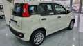Fiat Panda 1.0 FireFly S&S Hybrid 5Posti Bianco - thumbnail 4