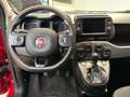 Fiat Panda Panda 1.0 FireFly S&S Hybrid City Cross Rood - thumbnail 11