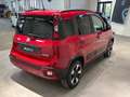 Fiat Panda Panda 1.0 FireFly S&S Hybrid City Cross Rood - thumbnail 4