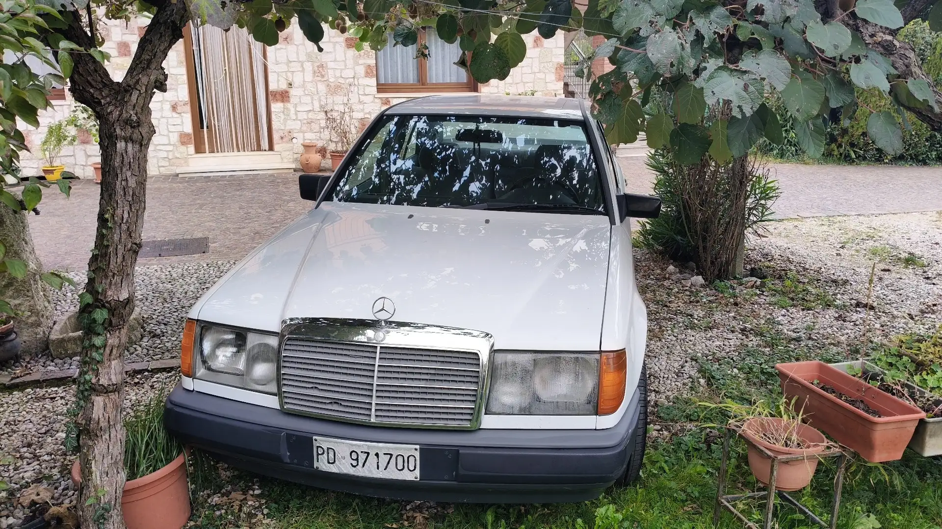 Mercedes-Benz 250 - 1