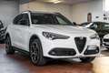 Alfa Romeo Stelvio 2.2 Q4 210cv - B-Tech - FULL Optional Bianco - thumbnail 1