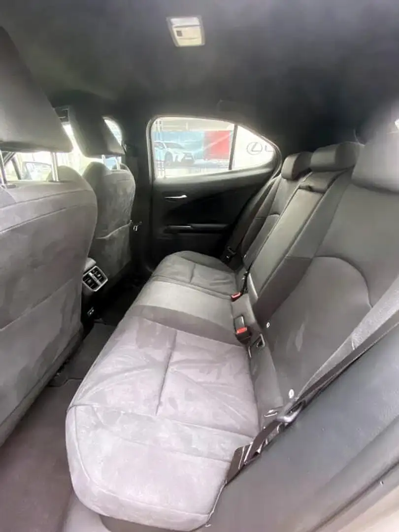 Lexus UX 250h UX250h Style Edition Oranje - 2