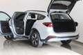 Ford Focus Turnier 1,0 EcoBoost Hybrid Active X Silber - thumbnail 21