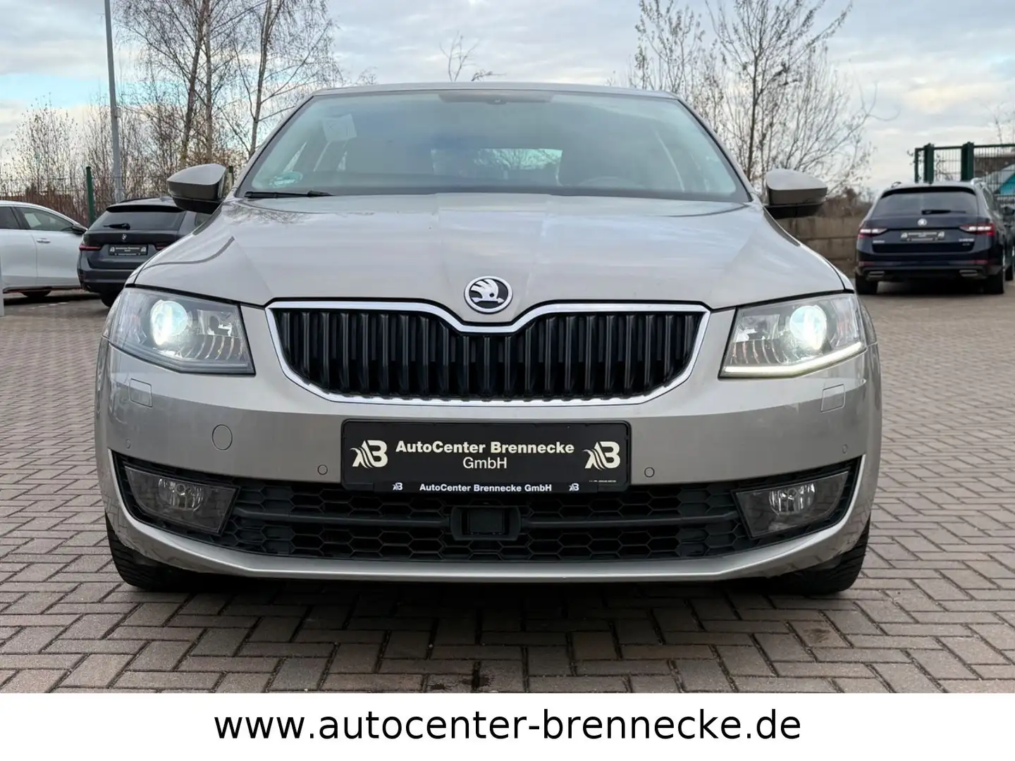 Skoda Octavia Lim. Joy*1.Hand*8-fach bereift*PDC* Beige - 2